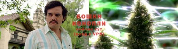 MESCALINE Богородицк